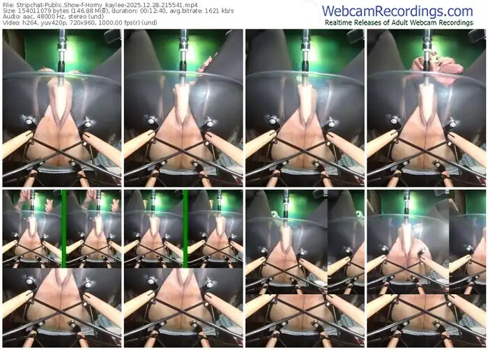 stripchat-horny_kaylee-12-28-2025-21-55-41