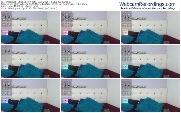 stripchat-kate_gale-12-28-2025-03-21-00