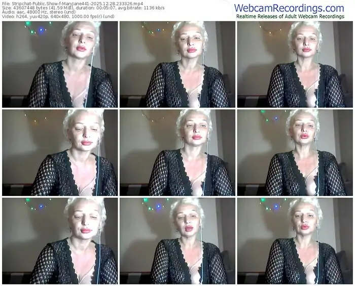 stripchat-maryjane441-12-28-2025-23-33-26