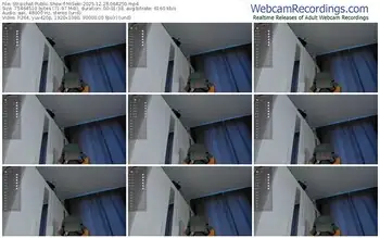 stripchat-miseki-12-28-2025-06-42-50