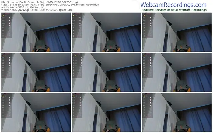 stripchat-miseki-12-28-2025-06-42-50