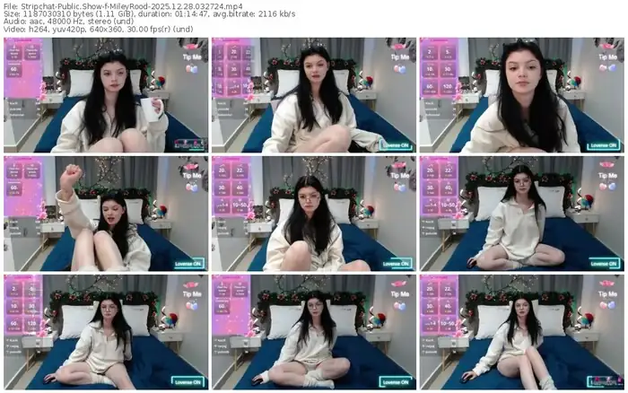 stripchat-mileyrood-12-28-2025-03-27-24