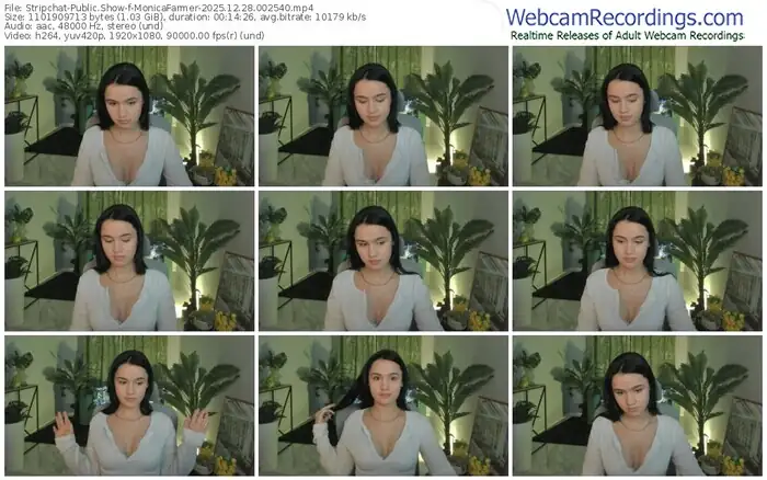 stripchat-monicafarmer-12-28-2025-00-25-40