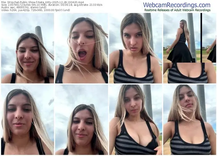 stripchat-nata_kitty-12-28-2025-19-34-20
