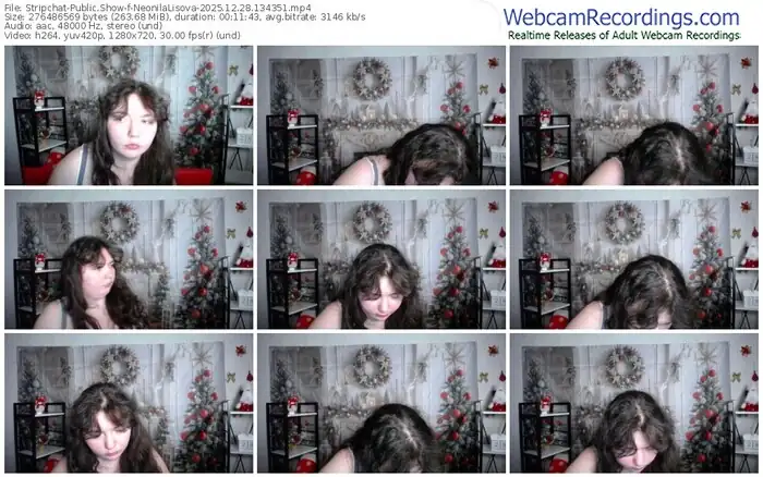 stripchat-neonilalisova-12-28-2025-13-43-51