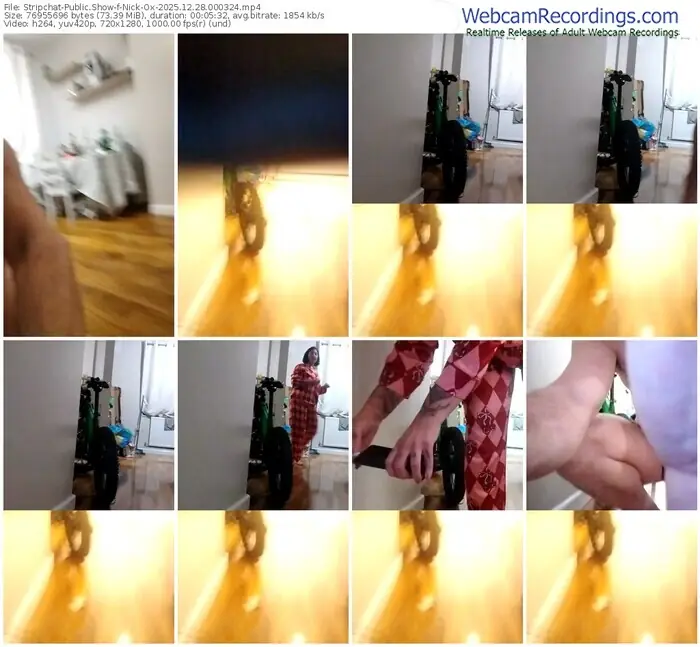 stripchat-nick-ox-12-28-2025-00-03-24