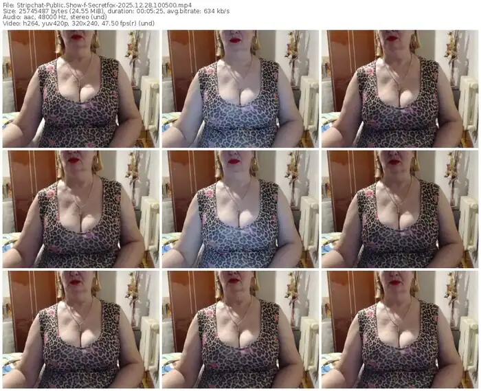 stripchat-secretfox-12-28-2025-10-05-00