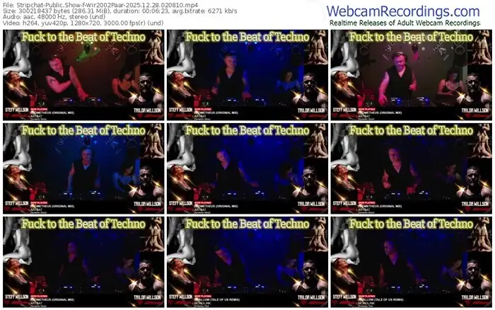 stripchat-wir2002paar-12-28-2025-02-08-10