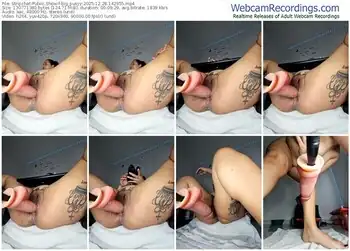 stripchat-big_pusyy-12-28-2025-14-29-55