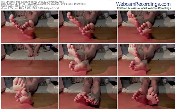 stripchat-eoxu1-12-28-2025-01-02-52