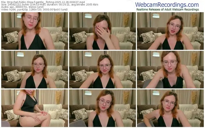 stripchat-gentle__flirting-12-28-2025-00-36-37