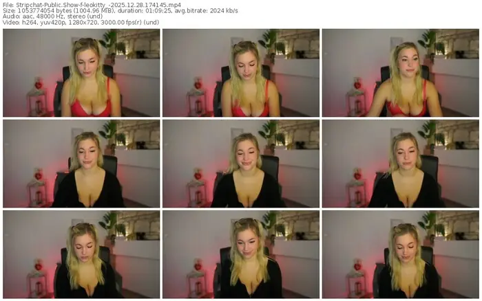 stripchat-leokitty_-12-28-2025-17-41-45
