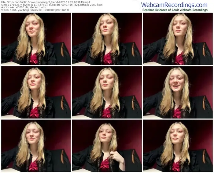 stripchat-moonlight_fiend-12-28-2025-03-31-49