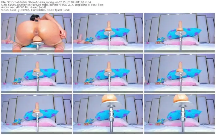 stripchat-paola_rodriguez-12-28-2025-18-11-08