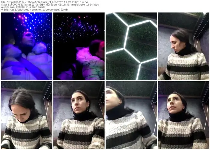 stripchat-pleasure_of_life-12-28-2025-21-05-13