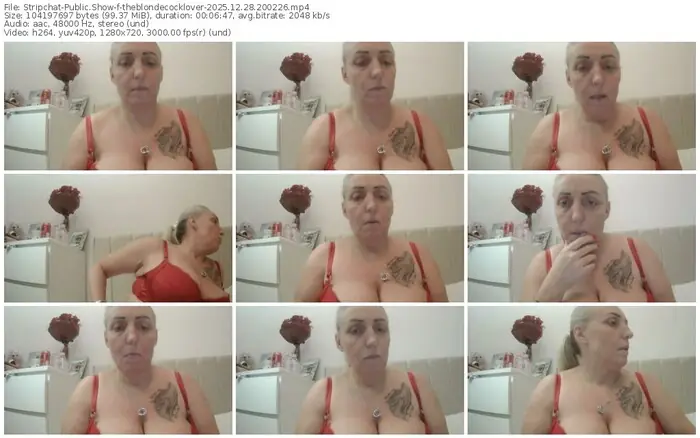 stripchat-theblondecocklover-12-28-2025-20-02-26