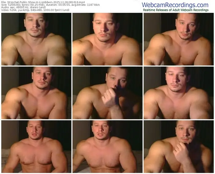 stripchat-lionedwin-12-28-2025-08-16-16