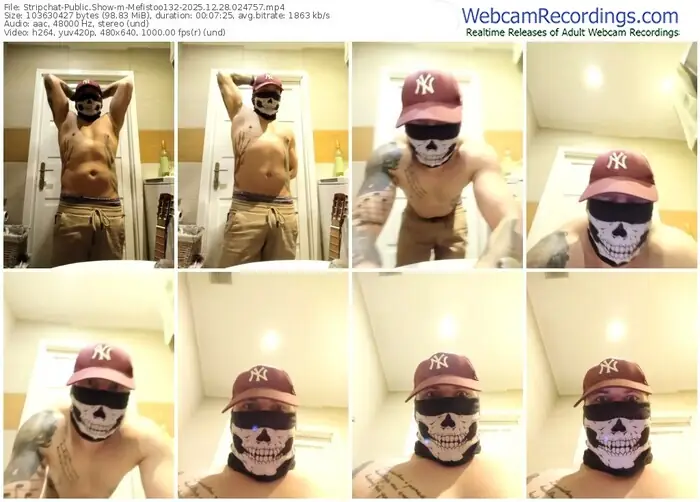 stripchat-mefistoo132-12-28-2025-02-47-57