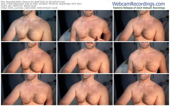 stripchat-mr_beef-12-28-2025-15-01-15