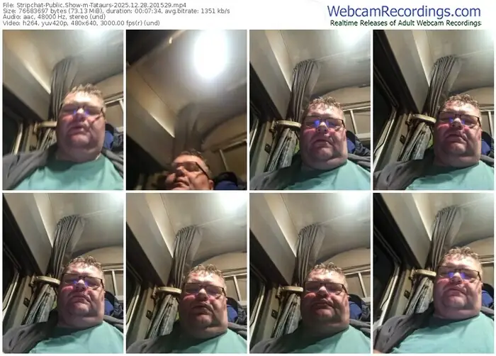 stripchat-tataurs-12-28-2025-20-15-29