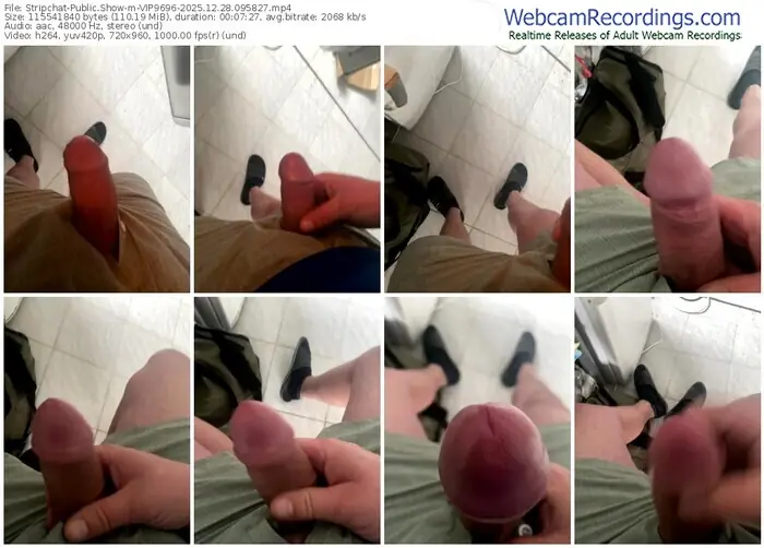 stripchat-vip9696-12-28-2025-09-58-27