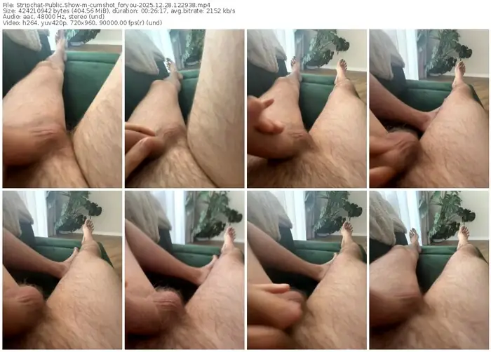 stripchat-cumshot_foryou-12-28-2025-12-29-38