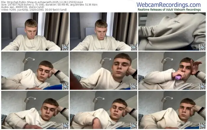 stripchat-echowraith-12-28-2025-12-53-32