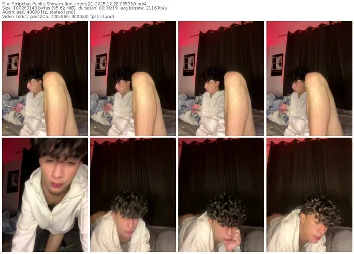 stripchat-lion_cherry21-12-28-2025-08-57-59