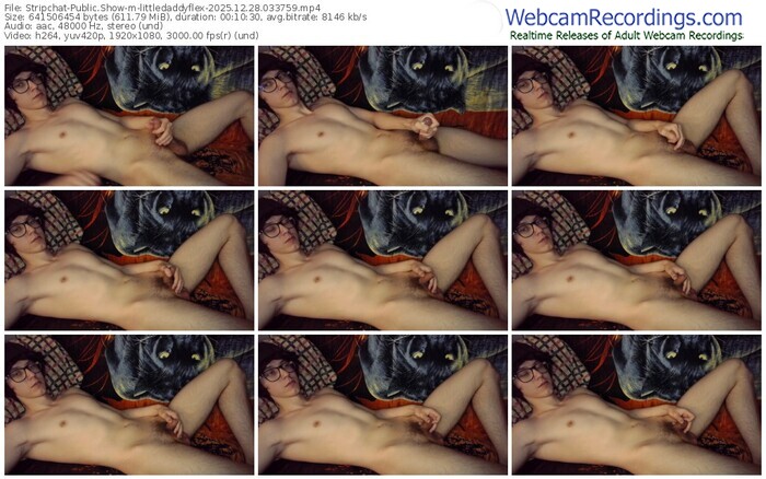 stripchat-littledaddyflex-12-28-2025-03-37-59