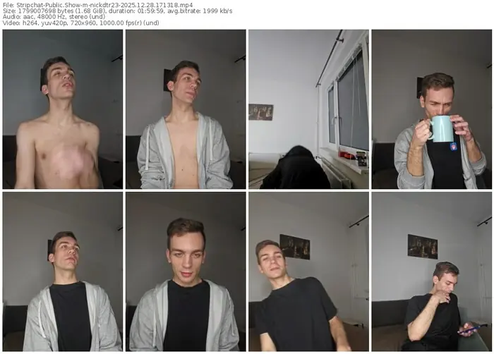 stripchat-nickdtr23-12-28-2025-17-13-18