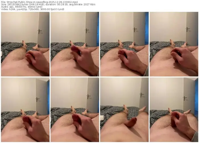 stripchat-sexeofbig-12-28-2025-13-30-02