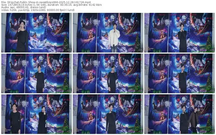 stripchat-sweetboys666-12-28-2025-16-17-24