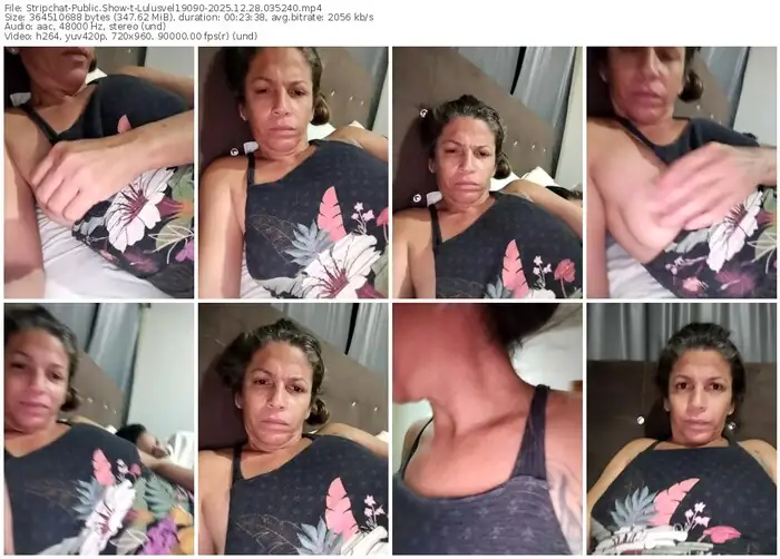 stripchat-lulusvel19090-12-28-2025-03-52-40