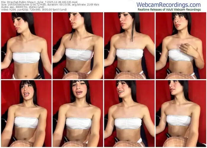 stripchat-_kylei_7-12-28-2025-06-12-20