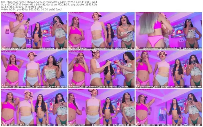 stripchat-hotexoticbrunettes_24cm-12-28-2025-11-29-11