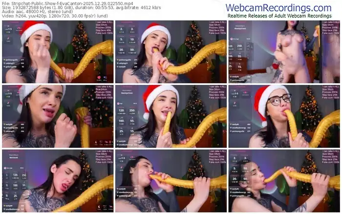 stripchat-evacanton-12-29-2025-02-25-50