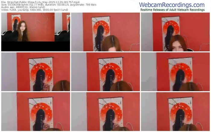 stripchat-lilu_may-12-29-2025-00-17-57