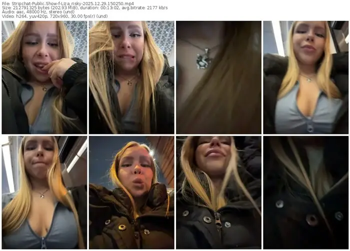 stripchat-liza_risky-12-29-2025-15-02-50