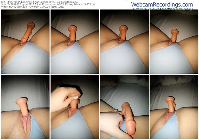 stripchat-guess1270-12-29-2025-23-28-56