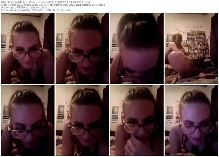 stripchat-snowbird1117-12-29-2025-08-13-08