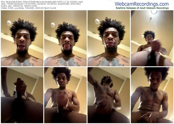 stripchat-thefreakscomeoutatnight-12-29-2025-10-30-01