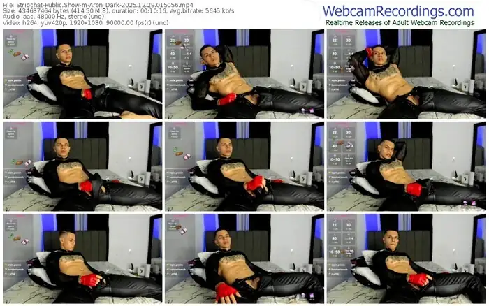 stripchat-aron_dark-12-29-2025-01-50-56