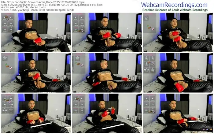 stripchat-aron_dark-12-29-2025-02-10-33