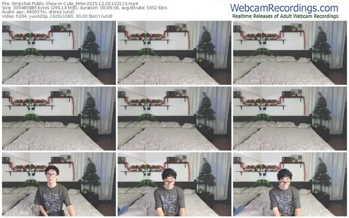 stripchat-cute_mike-12-29-2025-10-21-15
