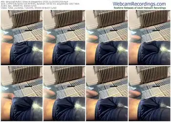 stripchat-elegantdic-12-29-2025-00-12-59