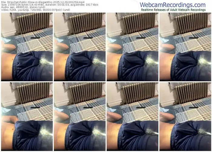 stripchat-elegantdic-12-29-2025-00-12-59