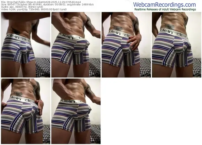 stripchat-jokerhot28-12-29-2025-07-05-40