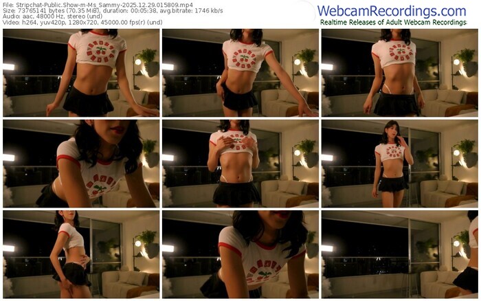 stripchat-ms_sammy-12-29-2025-01-58-09