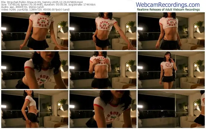 stripchat-ms_sammy-12-29-2025-01-58-09
