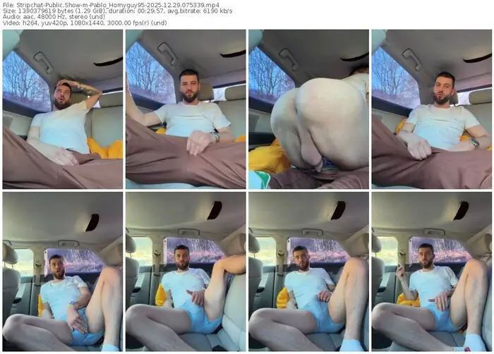 stripchat-pablo_hornyguy95-12-29-2025-07-53-39